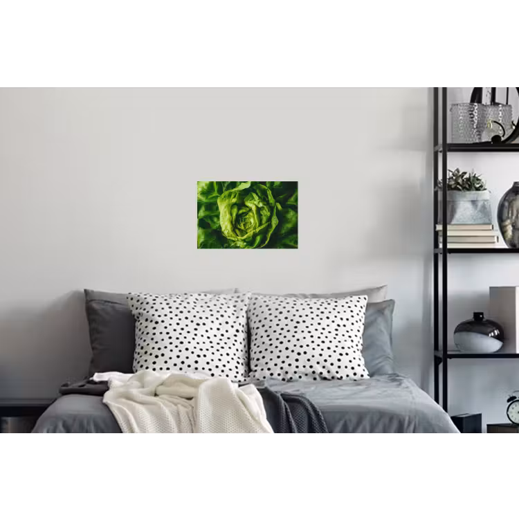 Groente - Sla - Groen Muursticker klein -slaapkamer