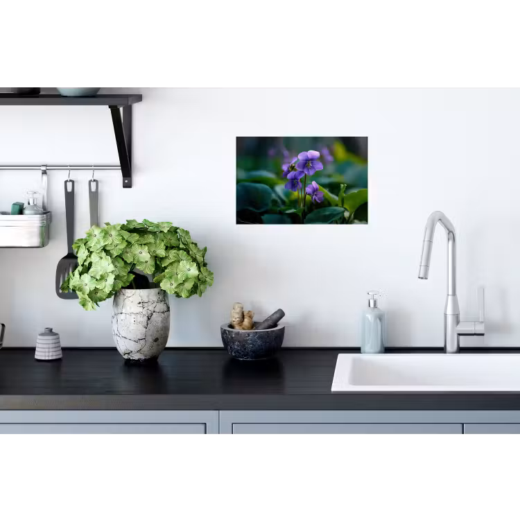 Viooltjes - Paars - Bloem - Bladeren Muursticker klein -keuken