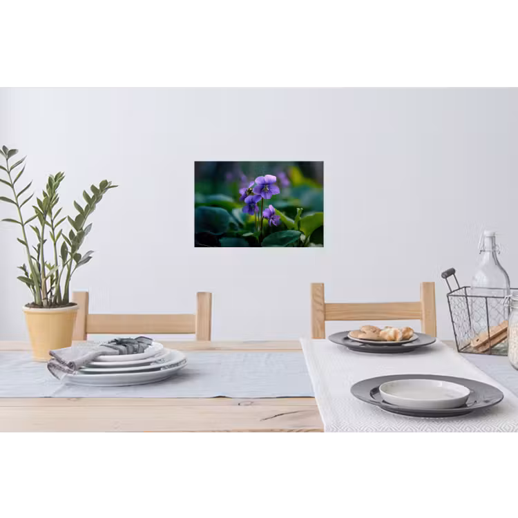 Viooltjes - Paars - Bloem - Bladeren Muursticker klein -eettafel