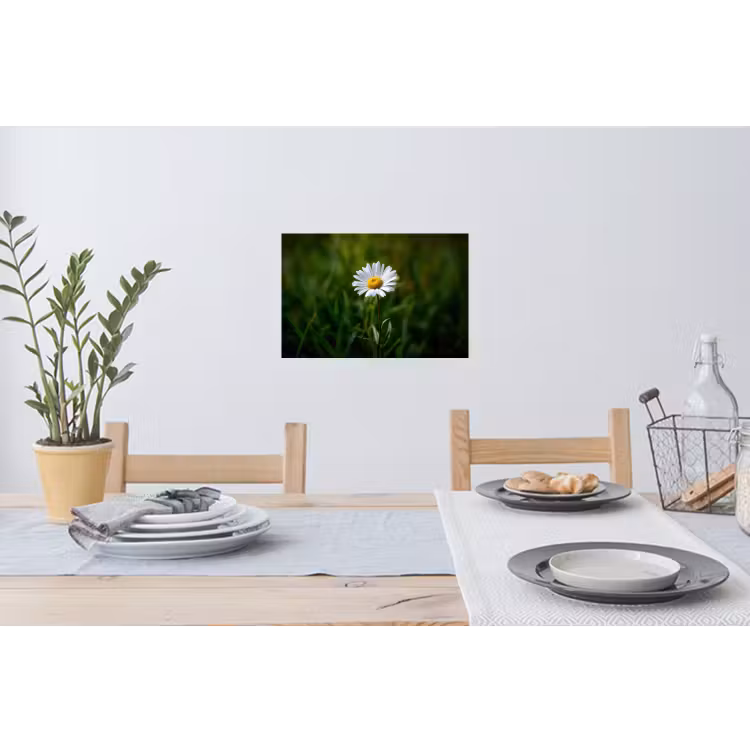 Wit - Madeliefje - Bloem - Gras Muursticker klein -eettafel