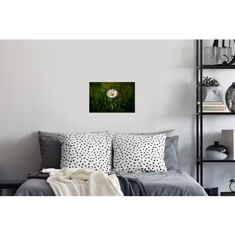 Wit - Madeliefje - Bloem - Gras Muursticker klein -slaapkamer