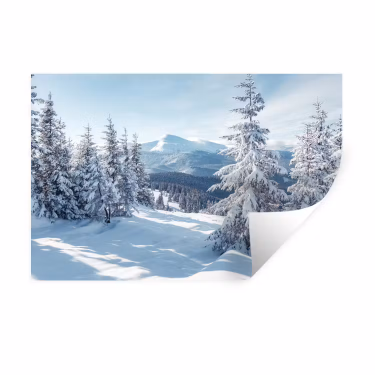 Winterlandschap - Natuur - Berg - Bomen - Sneeuw Muursticker klein -3d