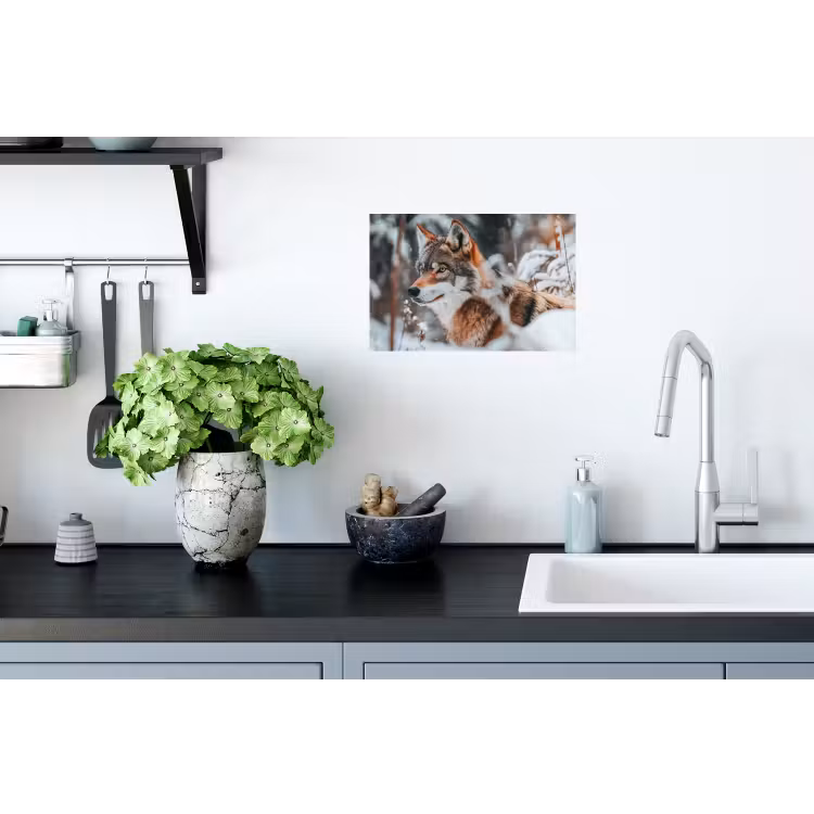 Wolf - Sneeuw - Winter - Dieren - Natuur - Sneeuw Muursticker klein -keuken