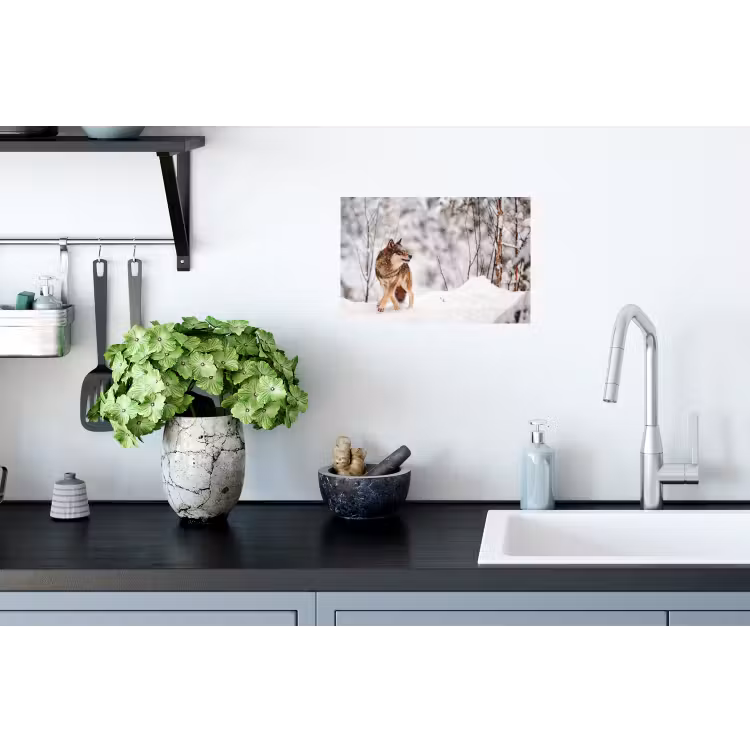 Wolf - Winter - Sneeuw - Natuur - Dieren Muursticker klein -keuken