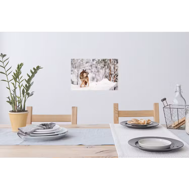 Wolf - Winter - Sneeuw - Natuur - Dieren Muursticker klein -eettafel