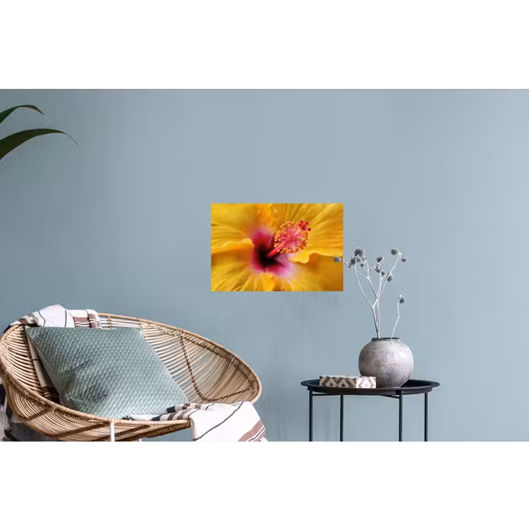 Geel - Hibiscus - Tropisch Muursticker klein -plant
