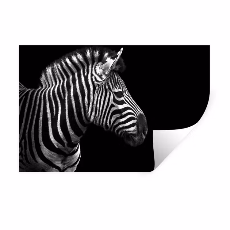 Zebra - Zwart - Wit - Portret - Dieren Muursticker klein -3d