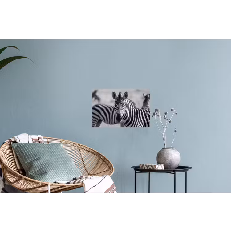 Zebra's - Zwart - Wit Muursticker klein -plant