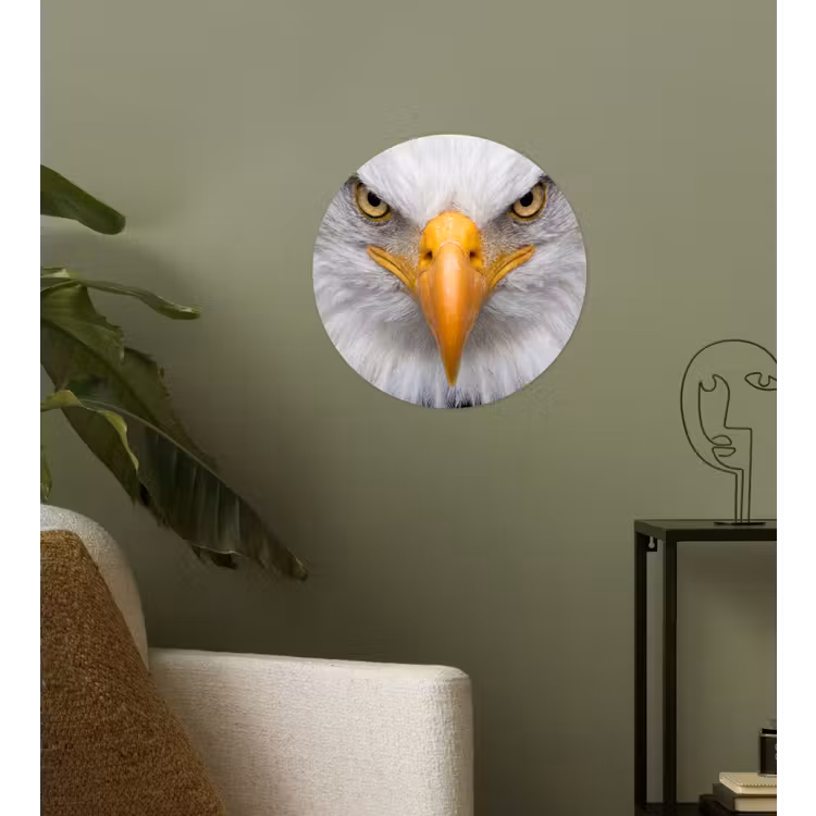 Amerikaans - Zeearend - Portret - Geel Wandcirkel behangsticker klein -sfeer2