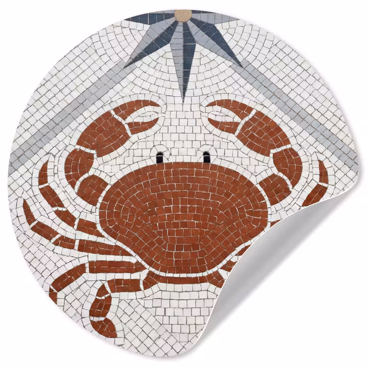 Dier - Mozaïek - Zee - Klassiek - Bruin Wandcirkel behangsticker klein -3d