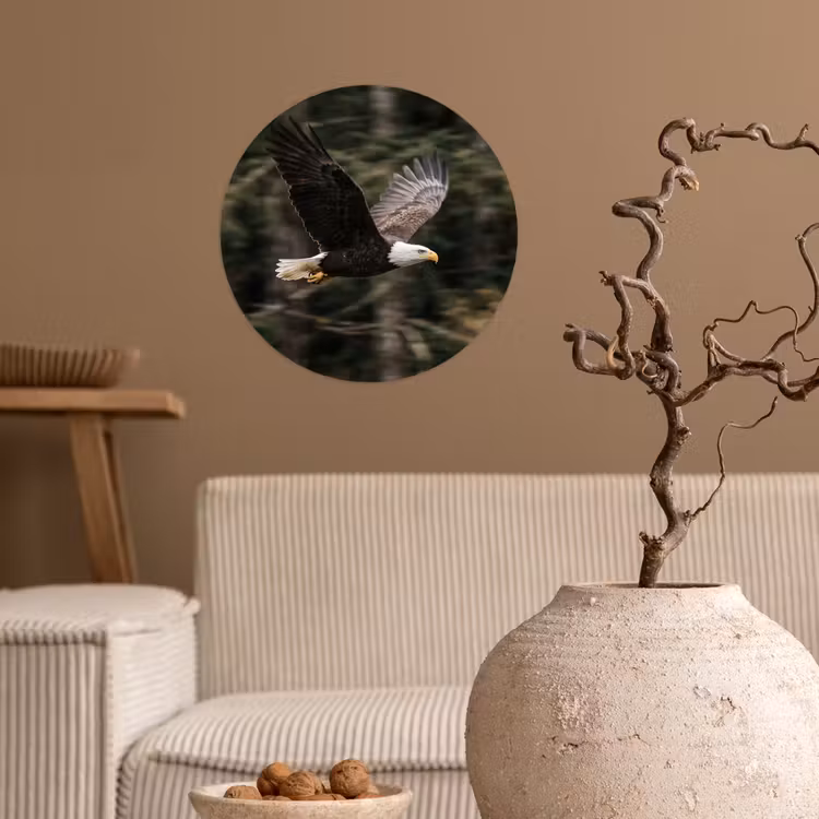 Zeearend - Vliegen - Bos - Natuur Wandcirkel behangsticker klein -sfeer1