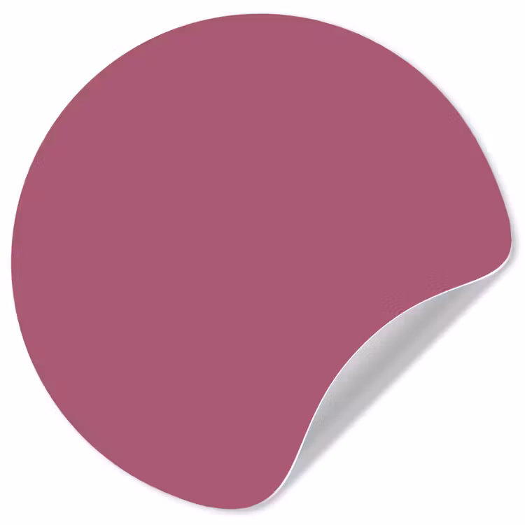 Berry - Roze -Pink Wandcirkel behangsticker klein 186 -3d