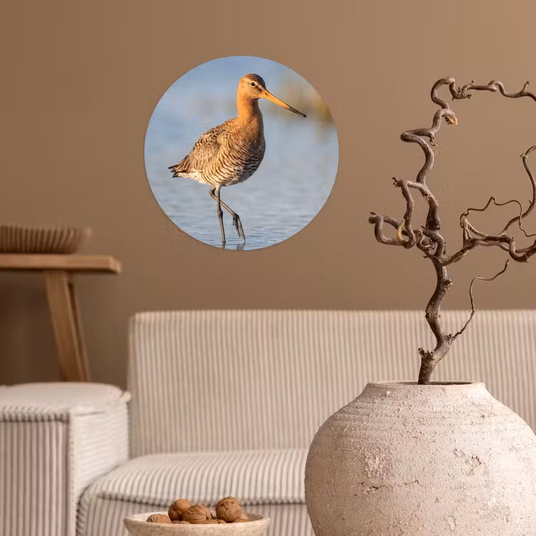 Vogel - Steltloper - Water - Natuur Wandcirkel behangsticker klein -sfeer1