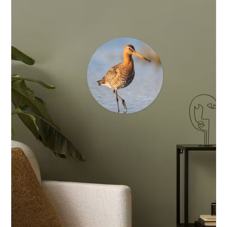 Vogel - Steltloper - Water - Natuur Wandcirkel behangsticker klein -sfeer2