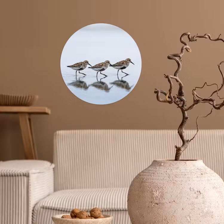 Vogels - Water - Grijs Wandcirkel behangsticker klein -sfeer1