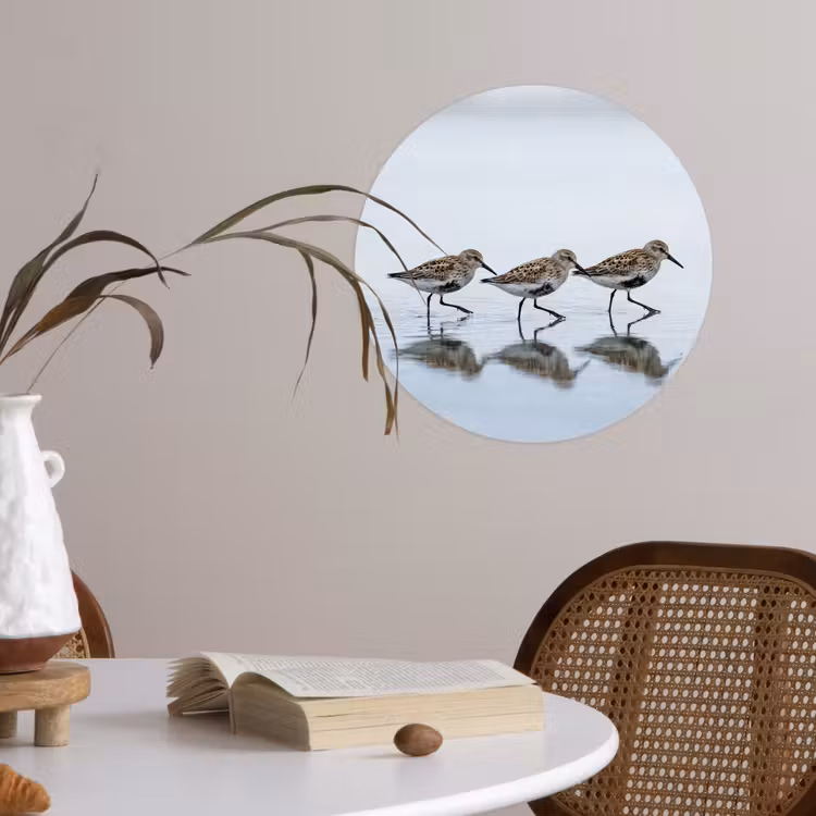 Vogels - Water - Grijs Wandcirkel behangsticker klein -sfeer3