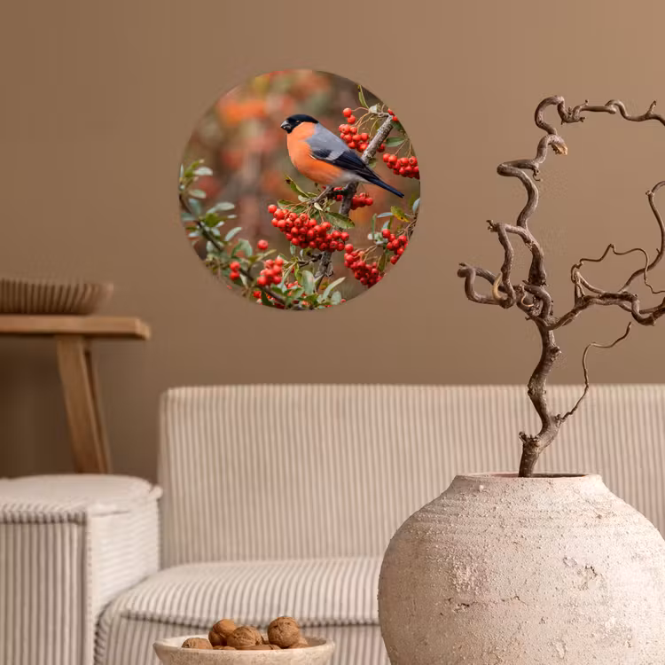 Goudvink - Bessen - Herfst - Natuur - Kleurrijk Wandcirkel behangsticker klein -sfeer1