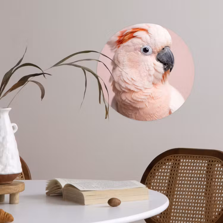 Kaketoe - Portret - Roze Wandcirkel behangsticker klein -sfeer3