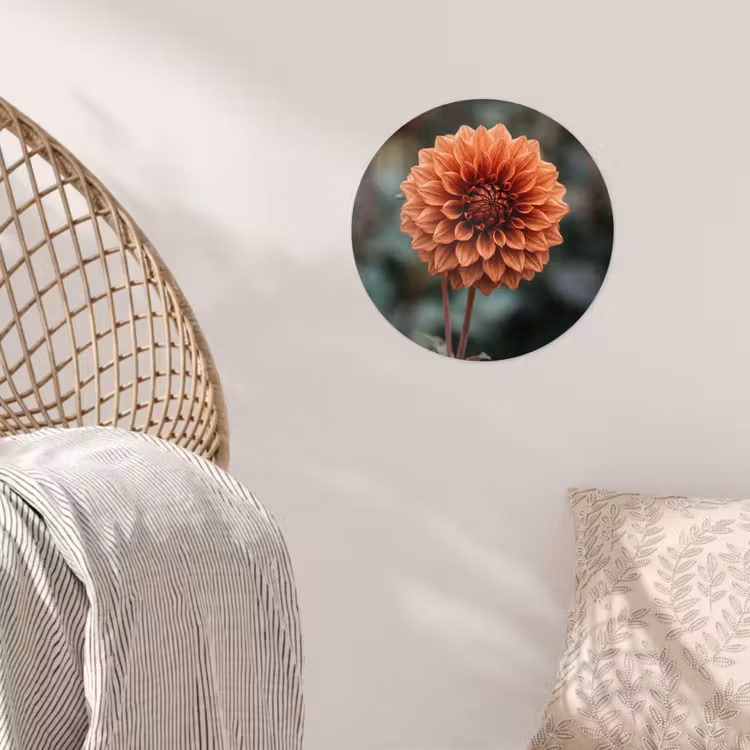 Dahlia - Bloem - Natuur - Sfeervol Wandcirkel behangsticker klein -sfeer4