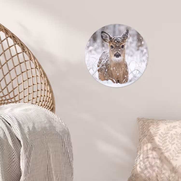 Hert - Sneeuw - Bos - Dieren - Vertederend Wandcirkel behangsticker klein -sfeer4