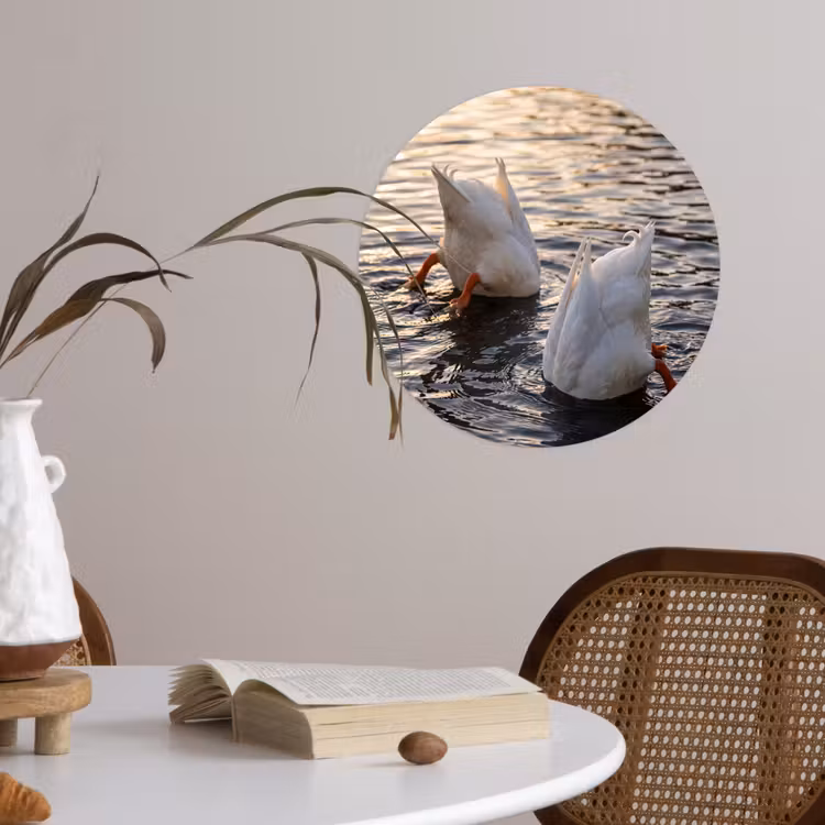 Eenden - Water - Natuur Wandcirkel behangsticker klein -sfeer3