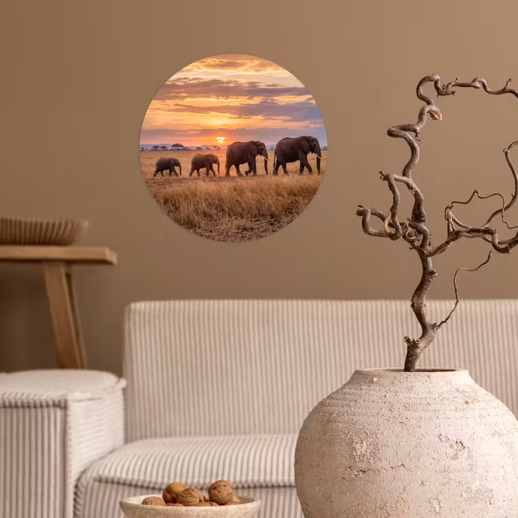 Olifanten - Savanne - Zonsondergang - Afrika - Warm Wandcirkel behangsticker klein -sfeer1