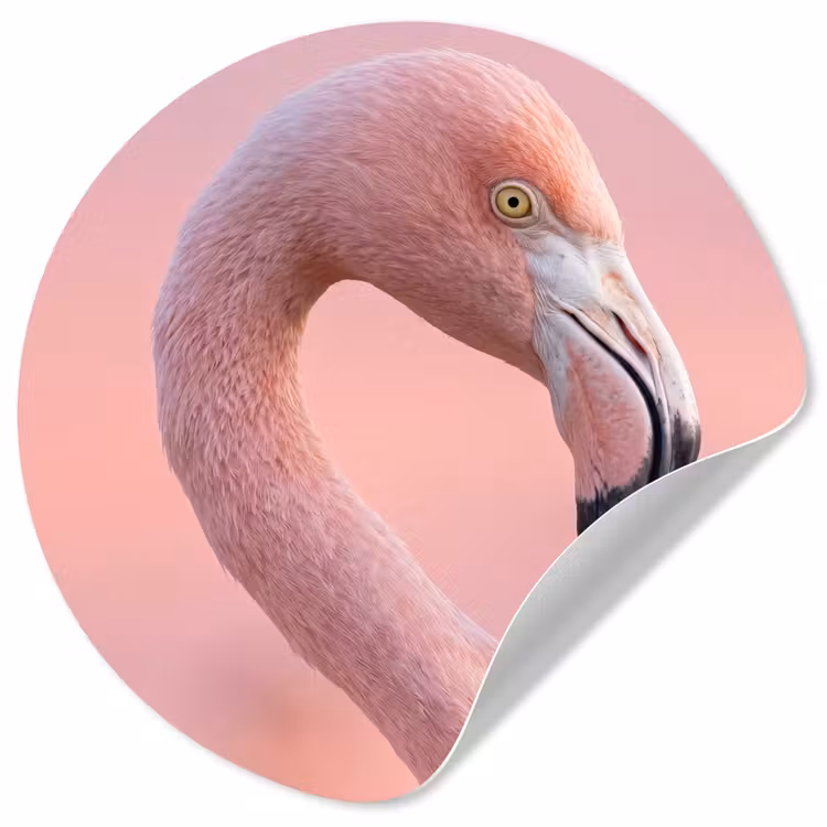 Flamingo - Portret - Roze Wandcirkel behangsticker klein -3d