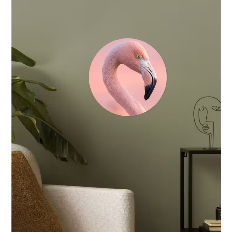 Flamingo - Portret - Roze Wandcirkel behangsticker klein -sfeer2
