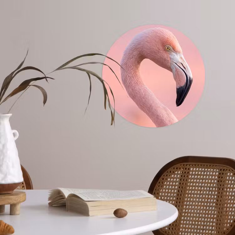 Flamingo - Portret - Roze Wandcirkel behangsticker klein -sfeer3