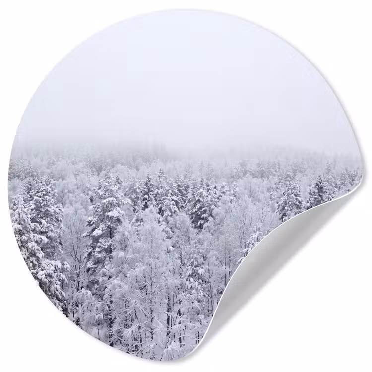 Bos - Sneeuw - Winter - Natuur - Wit Wandcirkel behangsticker klein -3d