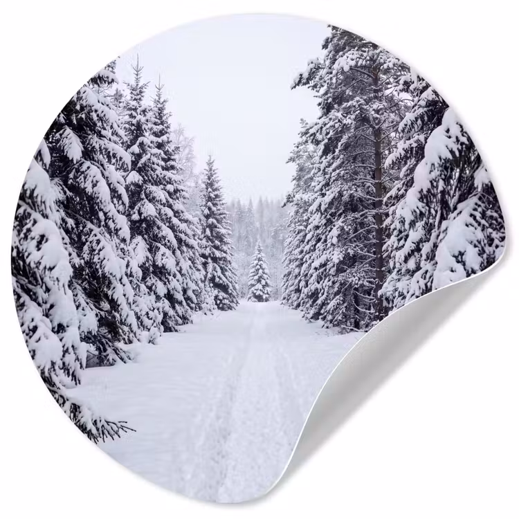 Bos - Winter - Sneeuw - Pad - Natuur Wandcirkel behangsticker klein -3d