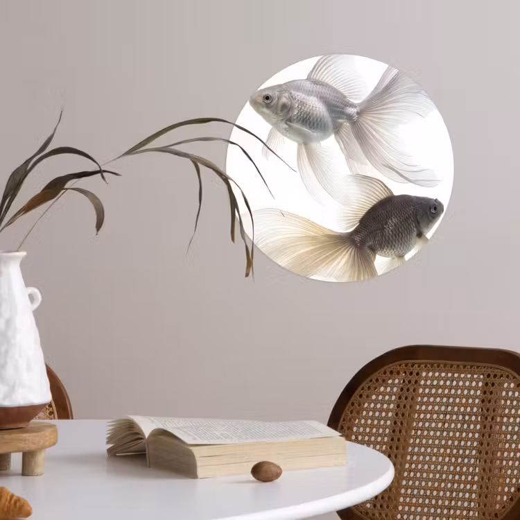 Goudvissen - Modern - Wit Wandcirkel behangsticker klein -sfeer3