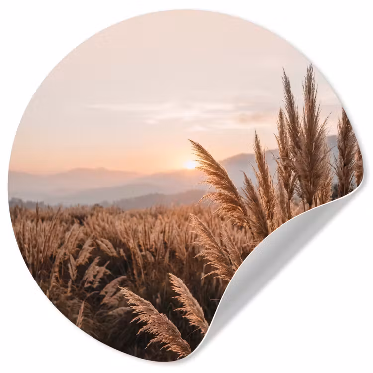 Gras - Veld - Zon - Natuur Wandcirkel behangsticker klein -3d