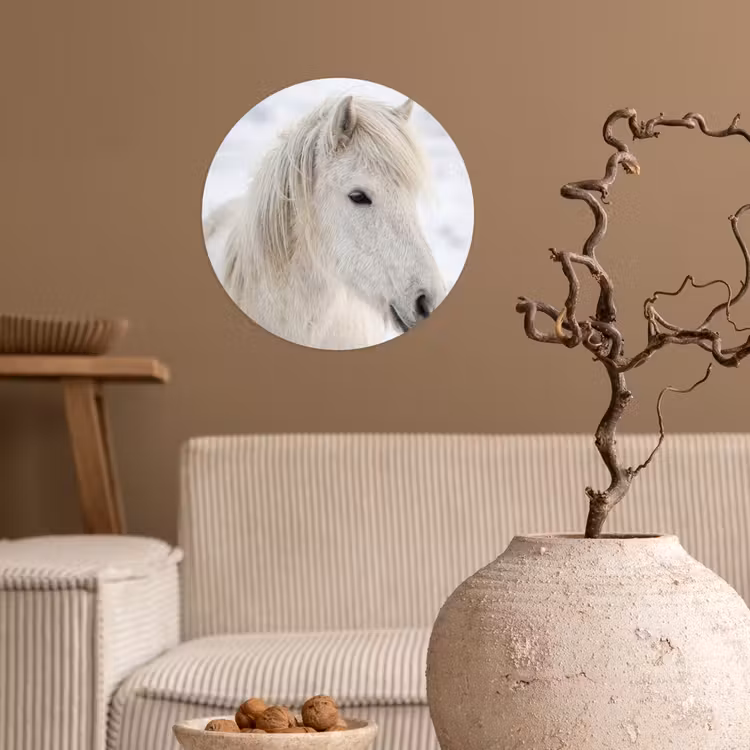 Paard - Kop - Winter - Dieren - Wit Wandcirkel behangsticker klein -sfeer1