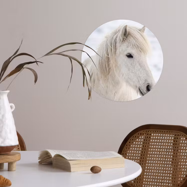 Paard - Kop - Winter - Dieren - Wit Wandcirkel behangsticker klein -sfeer3