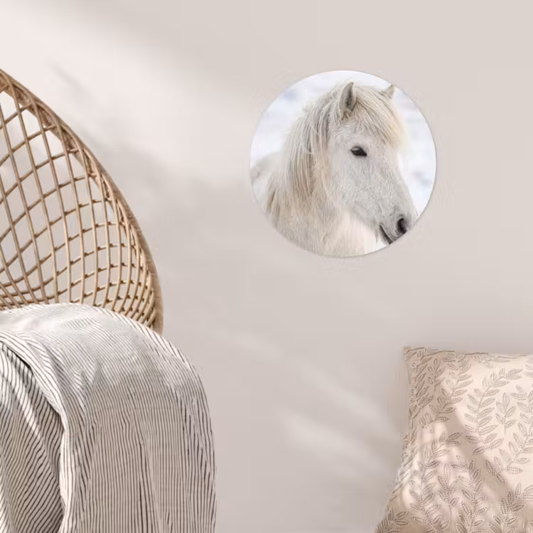Paard - Kop - Winter - Dieren - Wit Wandcirkel behangsticker klein -sfeer4
