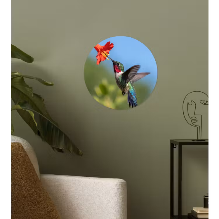 Kolibrie - Bloem - Natuur - Groen Wandcirkel behangsticker klein -sfeer2