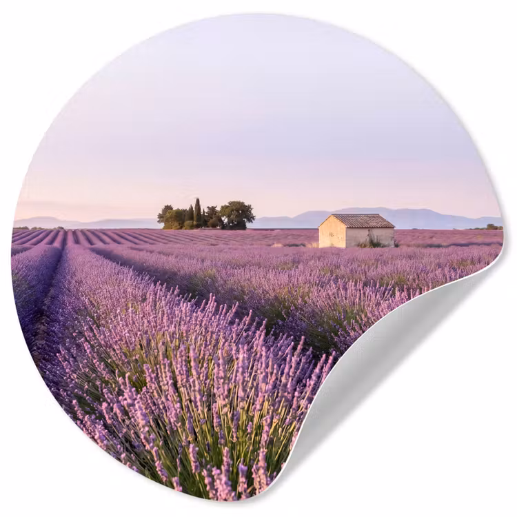 Lavendel - Landschap - Sereen - Paars Wandcirkel behangsticker klein -3d