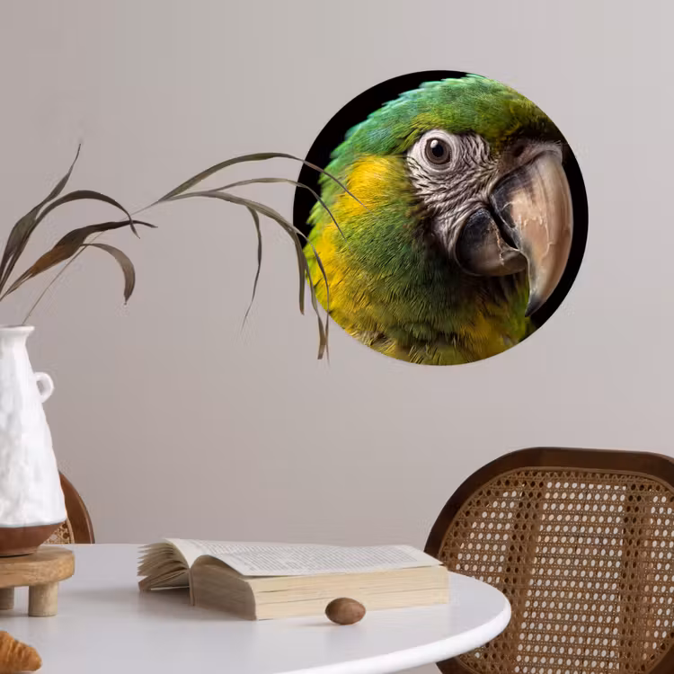 Ara - Portret - Groen Wandcirkel behangsticker klein -sfeer3