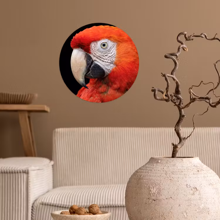 Ara - Portret - Rood Wandcirkel behangsticker klein -sfeer1