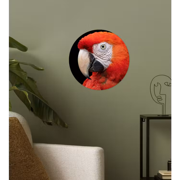 Ara - Portret - Rood Wandcirkel behangsticker klein -sfeer2