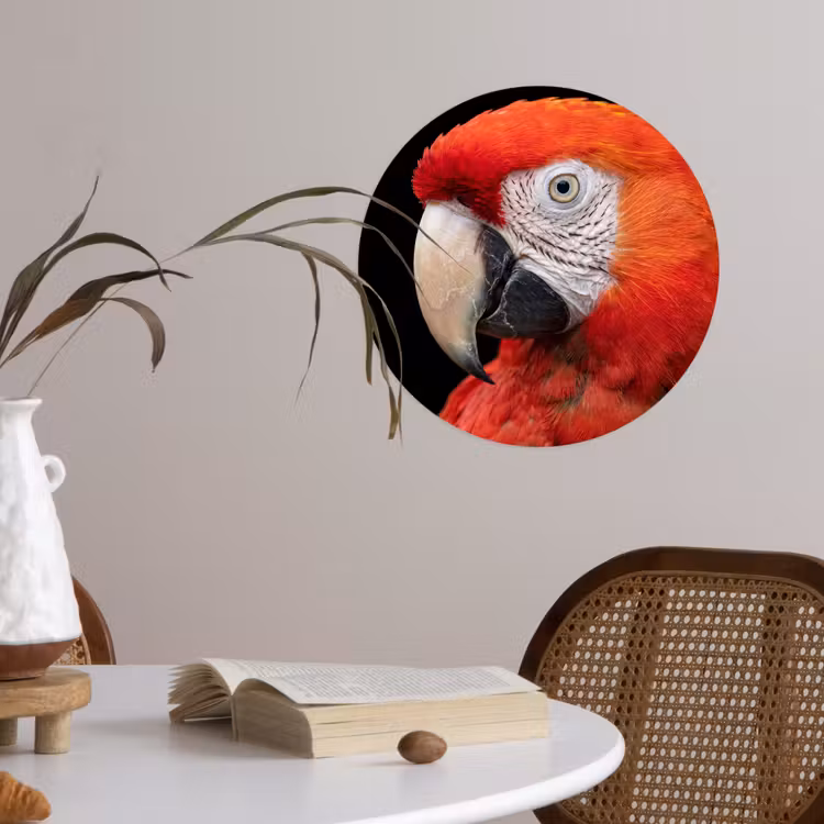 Ara - Portret - Rood Wandcirkel behangsticker klein -sfeer3