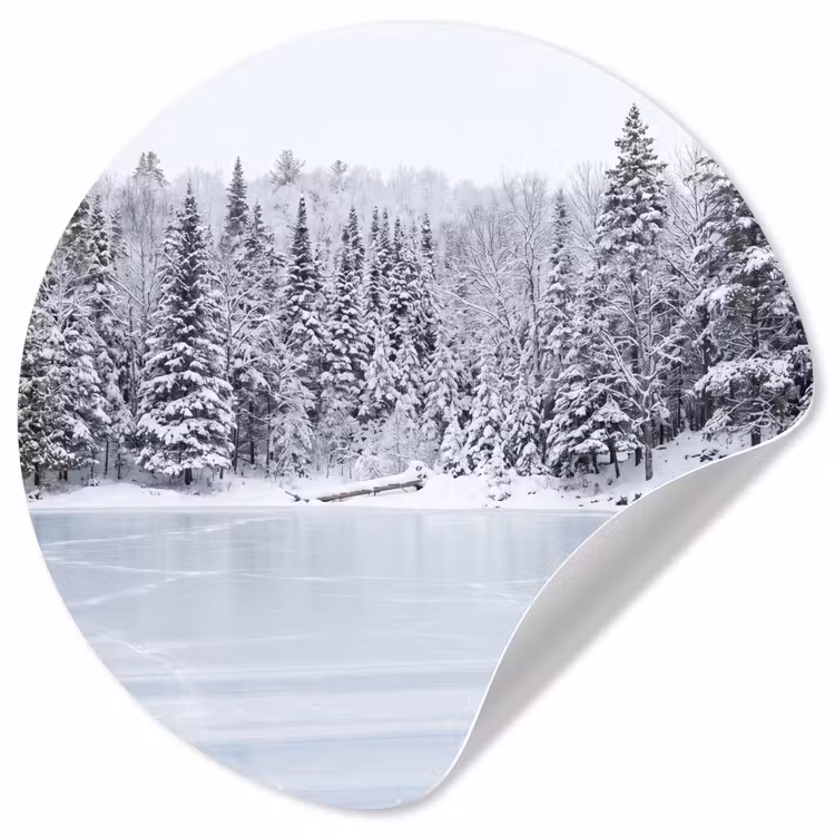 Meer - Dennen - IJs - Winter - Rustgevend Wandcirkel behangsticker klein -3d