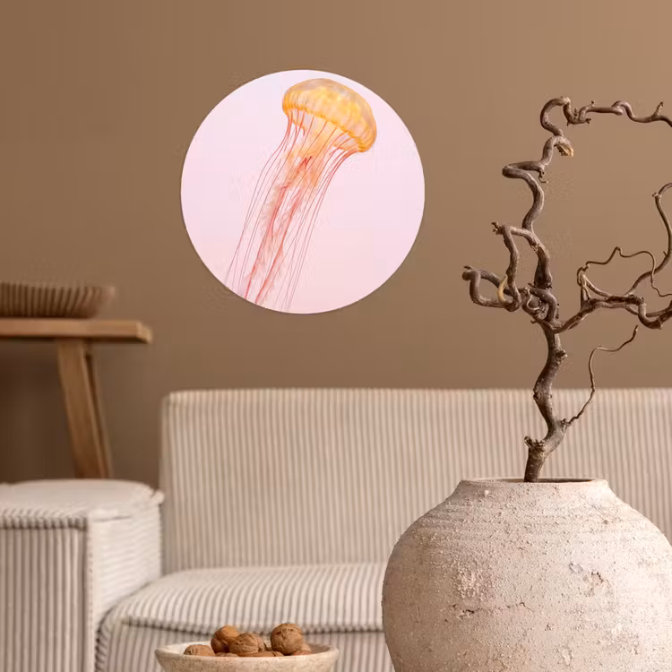Sierlijk - Kwal - Roze Wandcirkel behangsticker klein -sfeer1