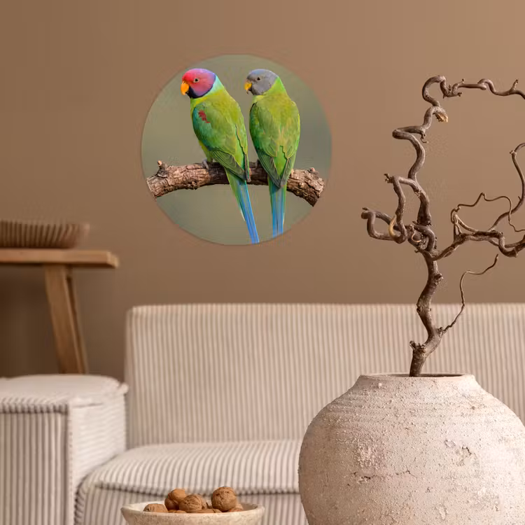 Papagaai - Tak - Natuur - Kleurrijk Wandcirkel behangsticker klein -sfeer1