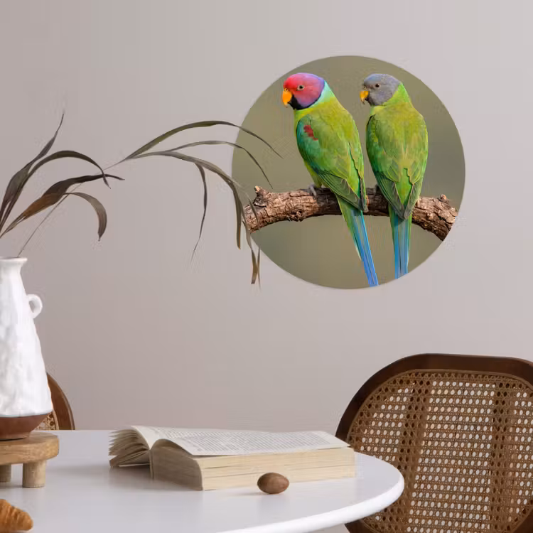 Papagaai - Tak - Natuur - Kleurrijk Wandcirkel behangsticker klein -sfeer3