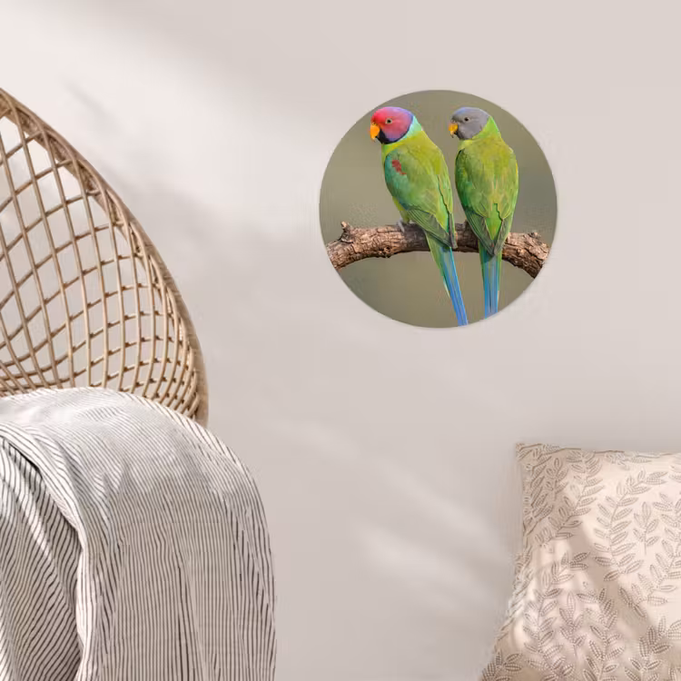 Papagaai - Tak - Natuur - Kleurrijk Wandcirkel behangsticker klein -sfeer4