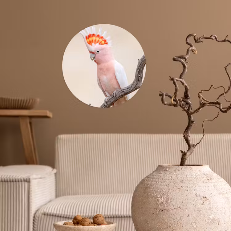Papagaai - Tak - Roze Wandcirkel behangsticker klein -sfeer1