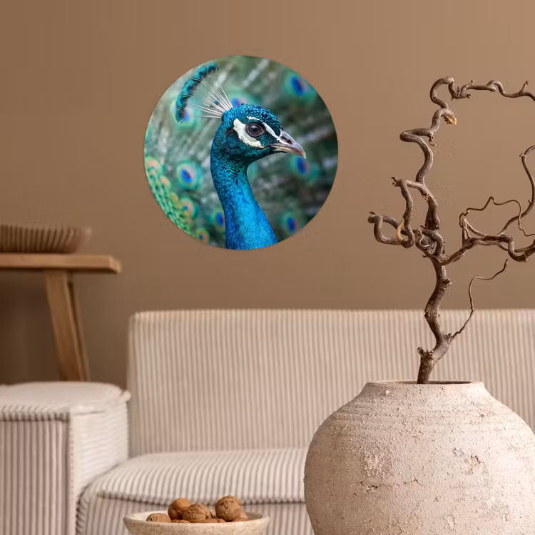 Pauw - Veren - Blauw Wandcirkel behangsticker klein -sfeer1