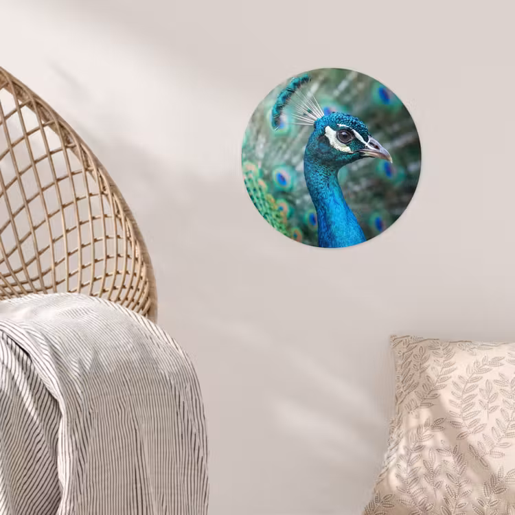 Pauw - Veren - Blauw Wandcirkel behangsticker klein -sfeer4